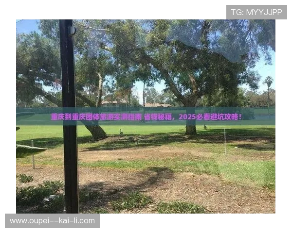 开云官方认证靠谱吗大型体育赛事预热防骗避坑指南